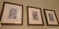 All three framed bird prints hanging on wall