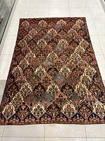 Full overhead view showing complete rug design and condition