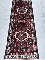 Full view of runner rug showing overall design and dimensions