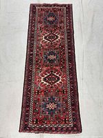 Full view of runner rug showing entire design and size