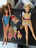 Group shot of all Barbie and mini dolls