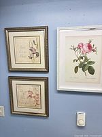 Wall view showing all three framed floral prints