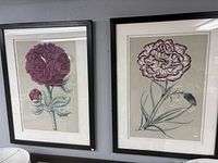 Pair of framed floral prints hung on wall