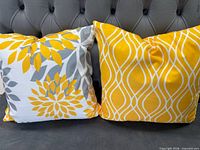 Both 16" coordinating pillows on gray background
