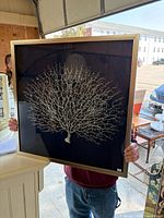 Front view of silver tree artwork in metallic frame