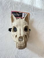 Front view of beige animal skull mask