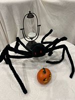 Spider, pumpkin and hourglass group shot
