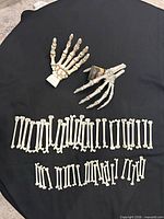 Full view of two skeleton hands and three rows of small bones on black background
