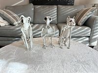 Front view of three animal skeleton figurines arranged on table