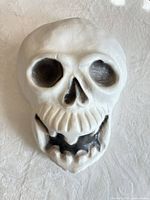 Front view of white blow mold skull showing facial details and color shading