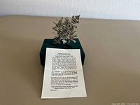 Ornament displayed on velvet box with information card in foreground