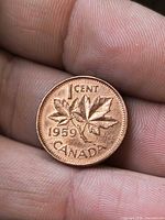 Reverse of 1959 Canadian 1 cent showing maple leaves