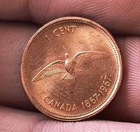 obverse showing rock dove design and centennial dates