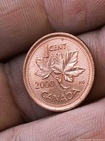 Reverse side with maple leaf twig and 2000 date