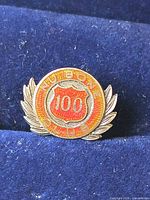 Front view of Nu Bone Club 100 enamel pin showing design and colors