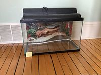Front view of 10-gallon glass aquarium with hood