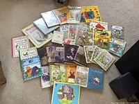 Wide shot of entire lot of children’s books laid out on carpet