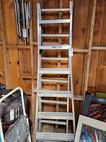 Overall view showing aluminum ladder and partial Cosco 2-step stool