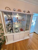 Full view of cabinet showing size, colour, doors, lower storage and many contents