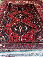 Full view of rug showing overall pattern and size
