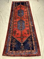 Full view of the Zanjan runner rug showing overall design and proportions
