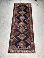 Full view of Hamedan runner rug showing entire design and borders