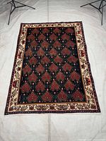 Full view of entire Sirjan rug laid flat