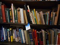 Two shelves filled with assorted books, spine titles visible