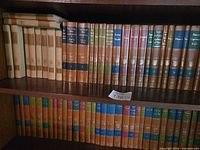 Both shelves showing coloured-spine Great Books series and beige volumes left side