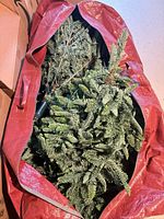 Tree sections inside red zip bag