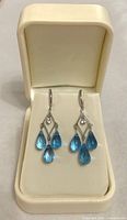 pair of earrings displayed in presentation box showing overall design