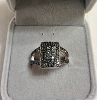 Ring in presentation box showing overall design