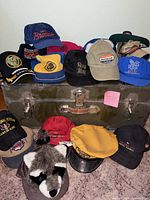 Overview of caps stacked on trunk and floor