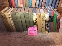 Front view of entire row of approximately 18 vintage hardcover books