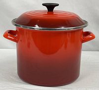 Full view of stockpot with lid on