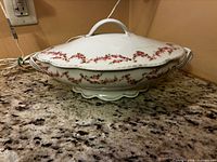 Dish with lid on, showing decoration and handles