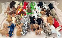 Overview of all 38 Beanie Babies laid out on towel