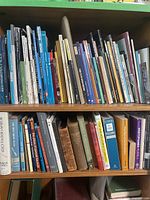 Two shelves filled with assorted books on Italy, art and fiction