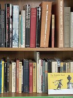 Two shelves filled with assorted art, history and fiction books