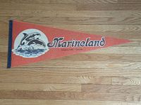 Full view of felt pennant showing overall condition and design