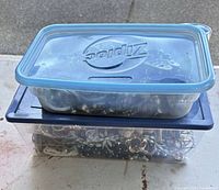Two stacked lidded plastic containers holding assorted costume jewelry