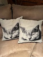 Both pillows side by side on sofa