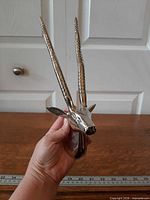 Front angled view showing polished aluminum antelope head with spiral horns