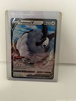 Front view of Dubwool V card in protective case