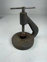 Full view of Benrus screw press showing overall form