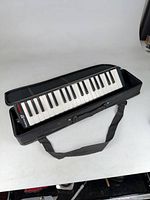 Full shot of melodica in open case
