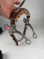 Side view showing drilled metal shanks, leather noseband with fleece padding, leather strap