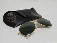 Sunglasses resting on case, showing overall item and logo on case