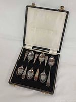 Open case showing six spoons in velvet slots