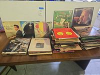 Overall view of stacked LPs on table showing quantity and variety of titles